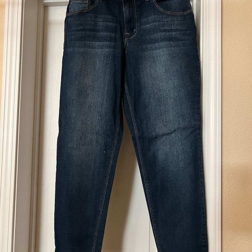 1822 Denim Blue Jeggings Classic Style